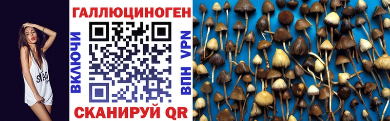 Галлюциногенные грибы прущие грибы  даркнет сайт  Арзамас 